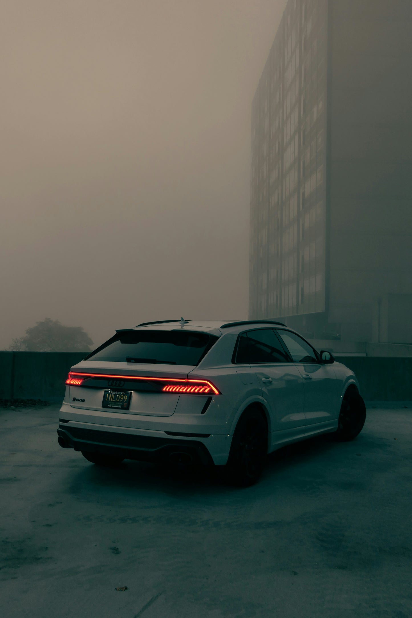 Foggy Drive - Tablou Canvas Audi - WallMood