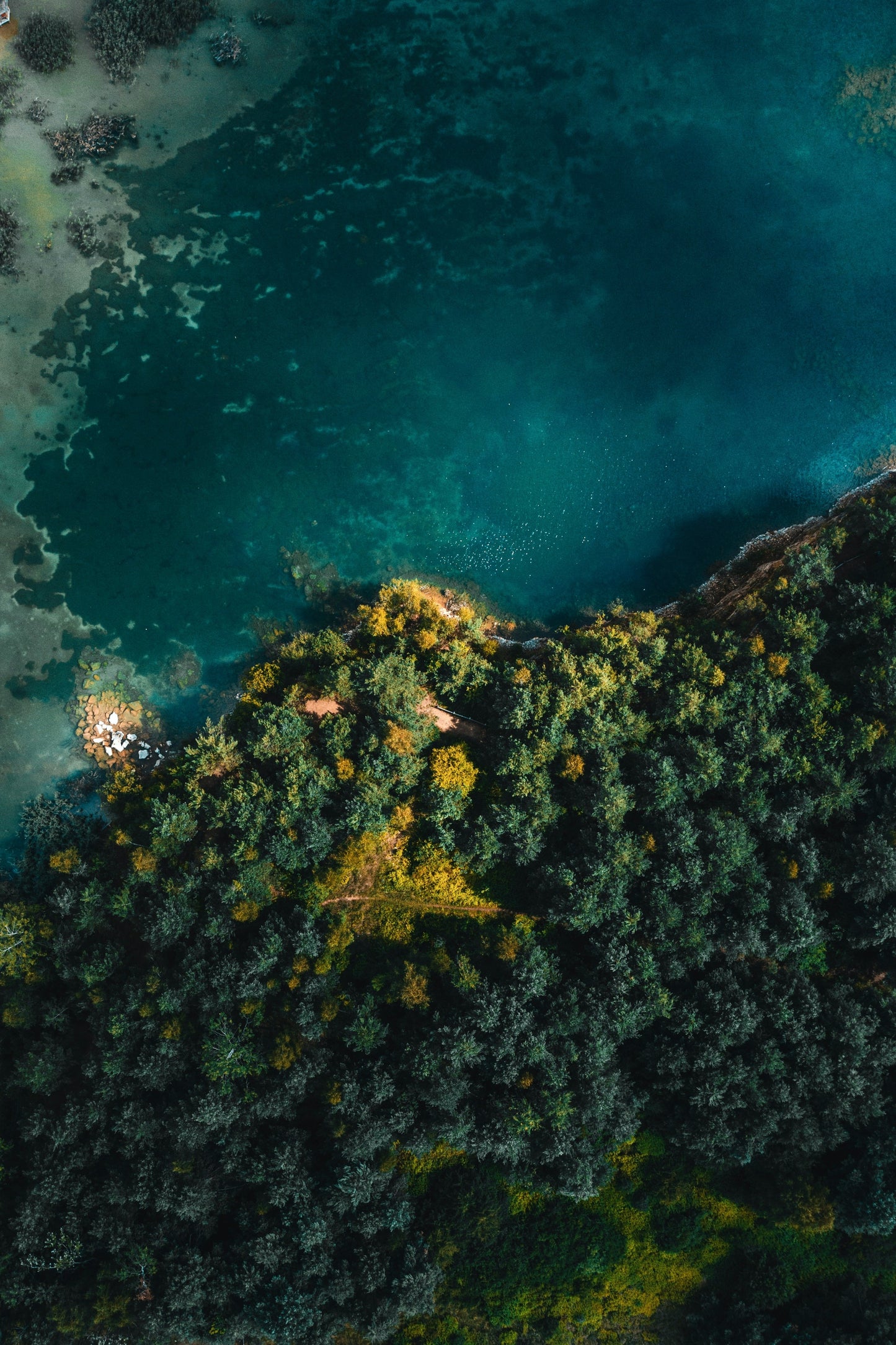 Nature in Balance - Tablou Canvas - WallMood