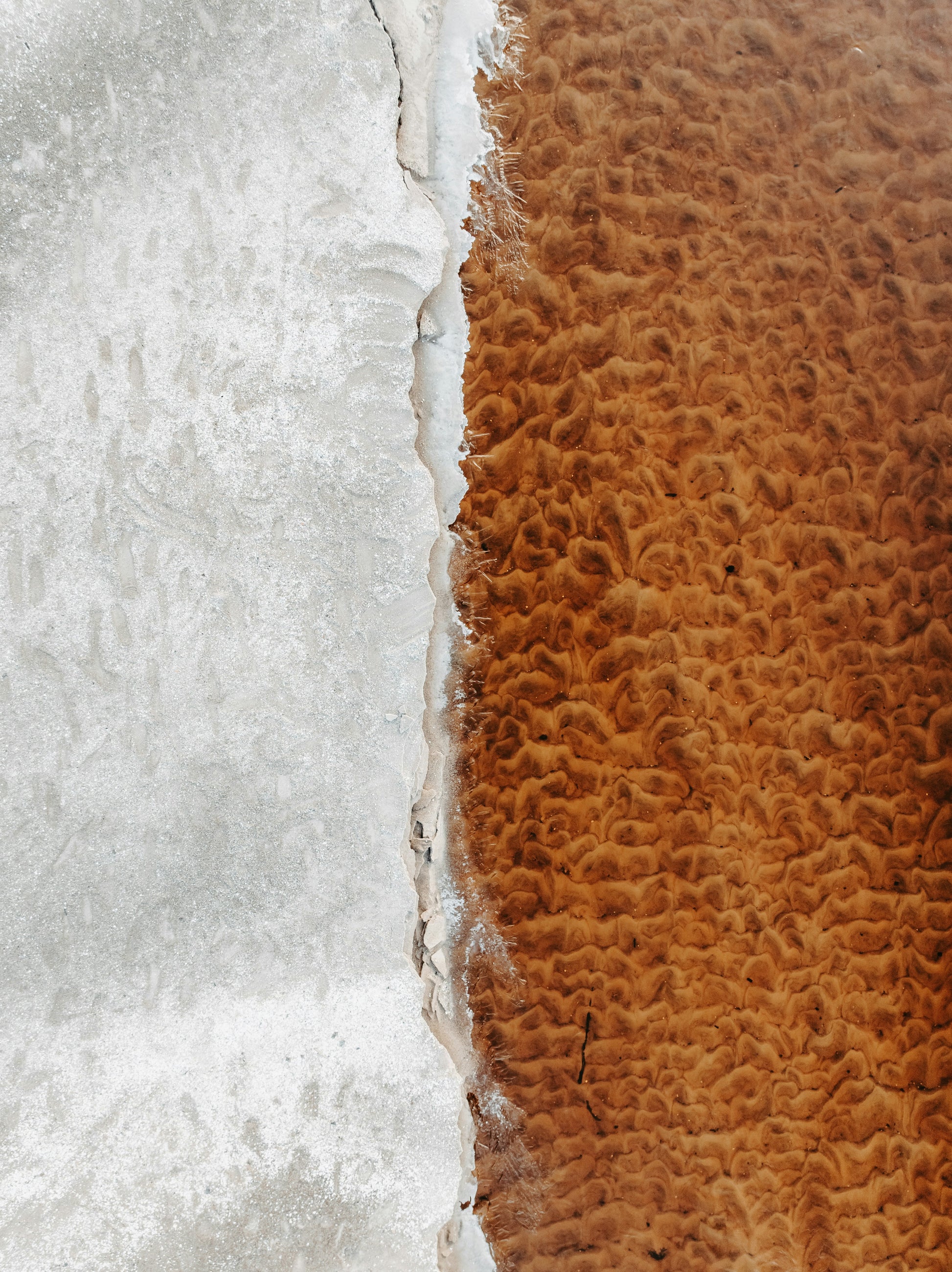 Elements Divide – Abstract Nature Canvas - WallMood