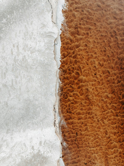 Elements Divide – Abstract Nature Canvas - WallMood