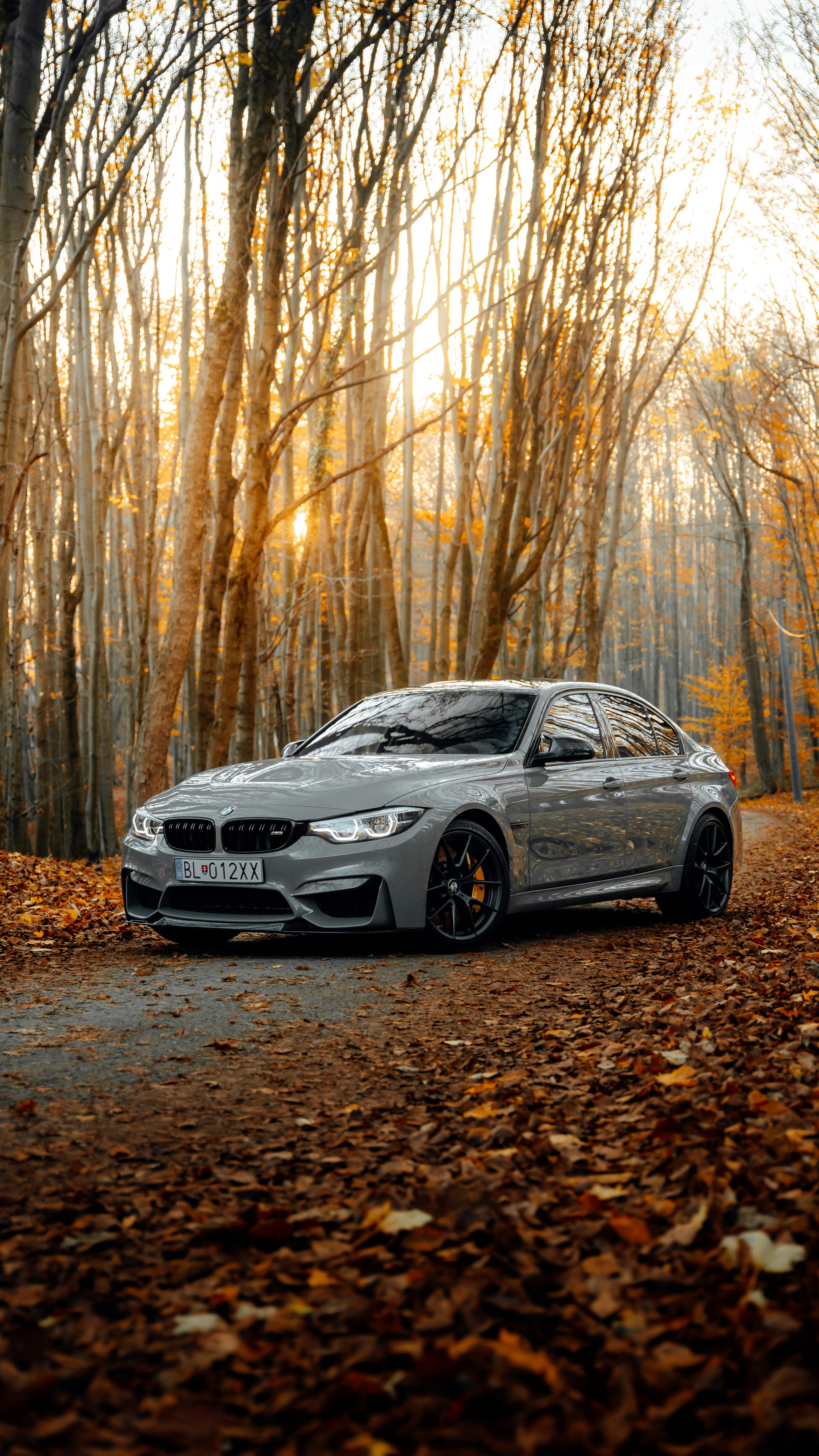 Autumn Roads, German Soul - Tablou Canvas Premium - WallMood