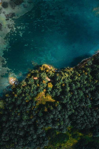 Nature in Balance - Tablou Canvas - WallMood