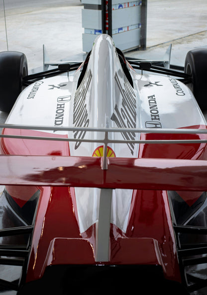 F1 Pulse – Energia Vitezei pe Canvas - WallMood