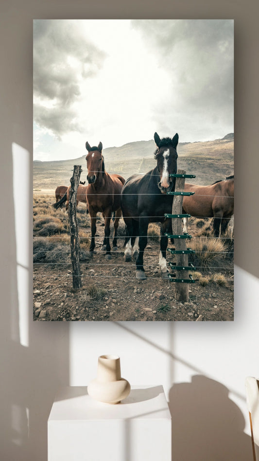 Wild Harmony - Tablou Canvas - WallMood