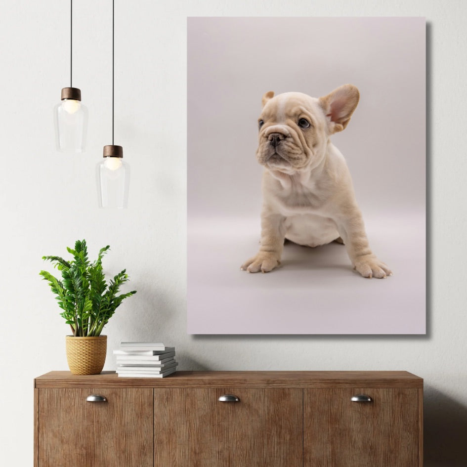 Frenchie Pup Charm - WallMood