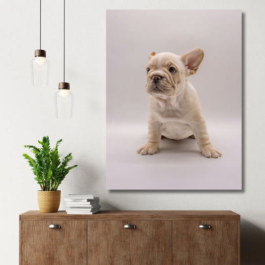 Frenchie Pup Charm - WallMood