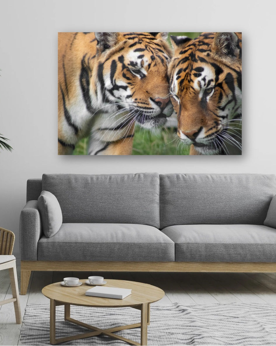 Fierce Affection - Tablou Canvas - WallMood