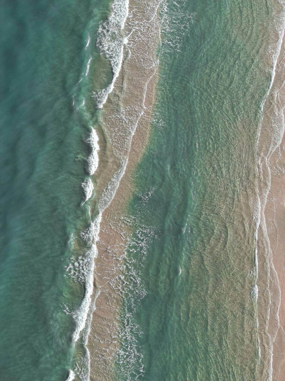 Turquoise Waves - Tabou Canvas - WallMood